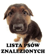 Lista psów znalezionych